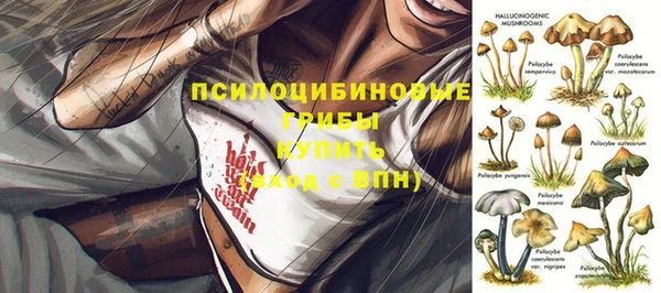 ешки Волоколамск